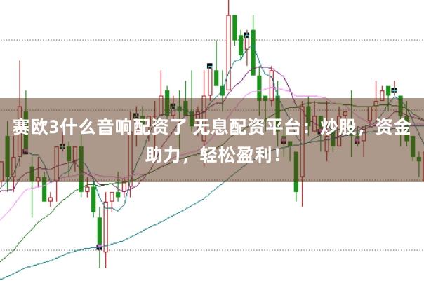 赛欧3什么音响配资了 无息配资平台：炒股，资金助力，轻松盈利！