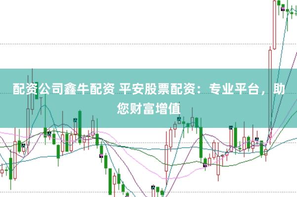 配资公司鑫牛配资 平安股票配资：专业平台，助您财富增值