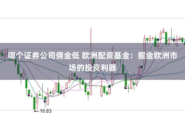 哪个证券公司佣金低 欧洲配资基金：掘金欧洲市场的投资利器