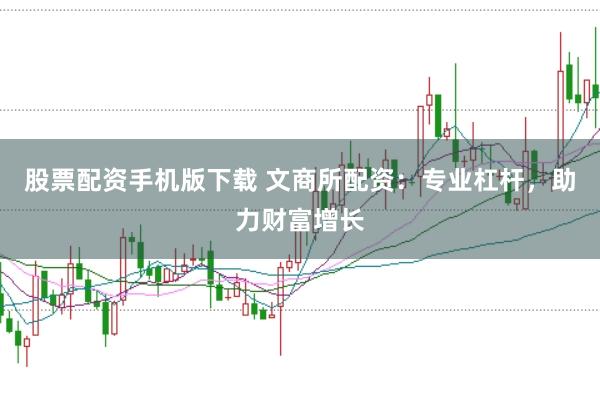 股票配资手机版下载 文商所配资：专业杠杆，助力财富增长