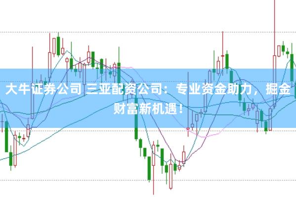 大牛证券公司 三亚配资公司：专业资金助力，掘金财富新机遇！