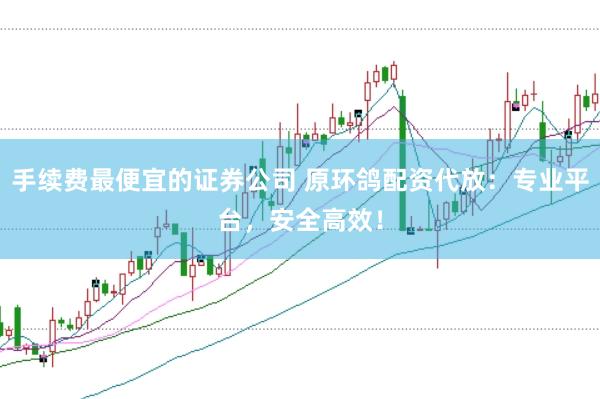 手续费最便宜的证券公司 原环鸽配资代放：专业平台，安全高效！